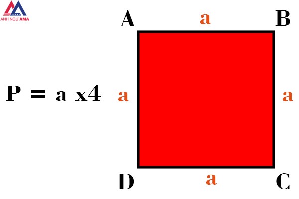 Cách tính chu vi của hình vuông?
