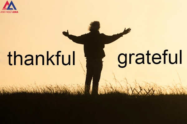 phan-biet-thankful-va-grateful